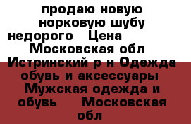 продаю новую норковую шубу недорого › Цена ­ 50 000 - Московская обл., Истринский р-н Одежда, обувь и аксессуары » Мужская одежда и обувь   . Московская обл.